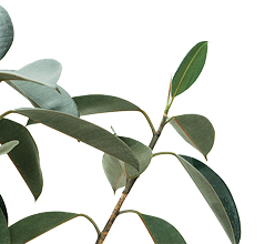 Oferta de um produto